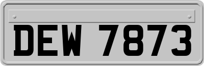 DEW7873