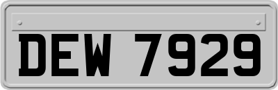 DEW7929