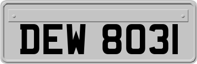 DEW8031