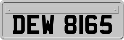 DEW8165