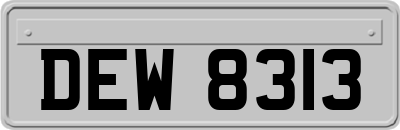 DEW8313