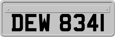 DEW8341