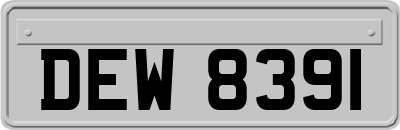DEW8391