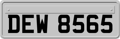 DEW8565