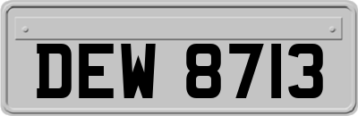 DEW8713