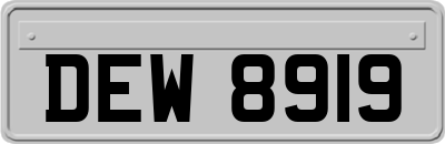 DEW8919