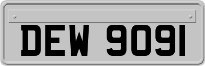 DEW9091