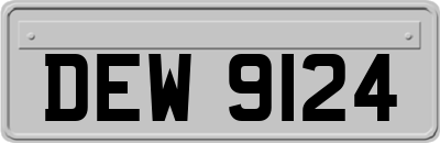 DEW9124