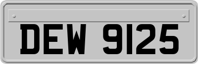 DEW9125