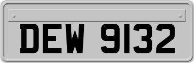 DEW9132