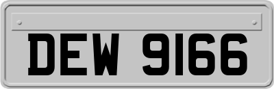 DEW9166