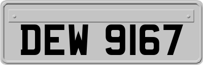 DEW9167