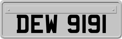 DEW9191