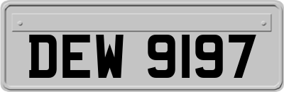 DEW9197