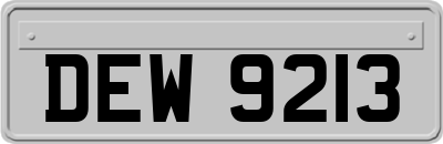 DEW9213