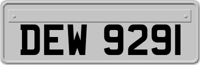 DEW9291