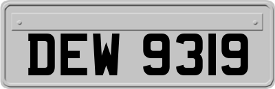 DEW9319