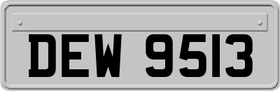 DEW9513