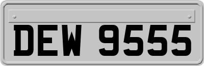 DEW9555