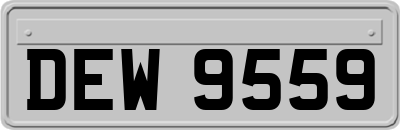 DEW9559