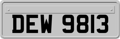 DEW9813
