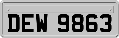 DEW9863