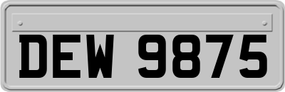 DEW9875