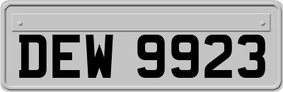 DEW9923
