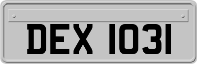 DEX1031