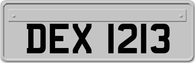 DEX1213