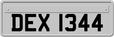 DEX1344