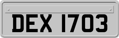 DEX1703
