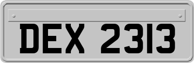 DEX2313
