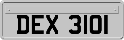 DEX3101
