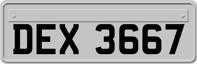 DEX3667