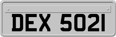 DEX5021