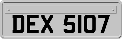 DEX5107