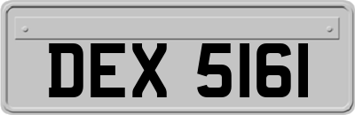 DEX5161