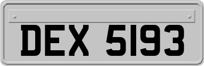 DEX5193