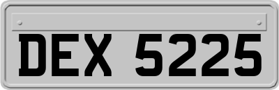 DEX5225