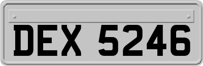 DEX5246