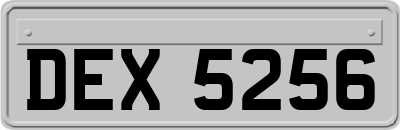 DEX5256