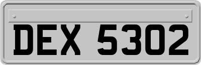 DEX5302