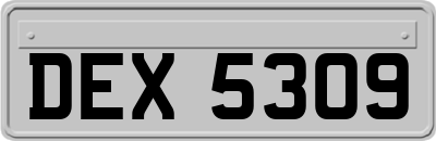 DEX5309