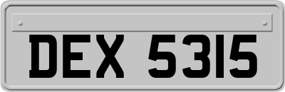 DEX5315