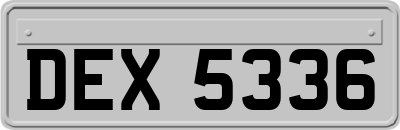 DEX5336