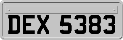 DEX5383