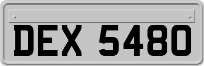 DEX5480