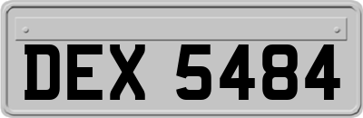 DEX5484