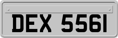 DEX5561